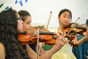 Spring Grove musicians